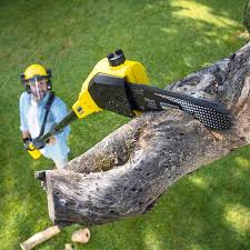 Best Lawn Pest Prevention  in Grand Ronde, OR