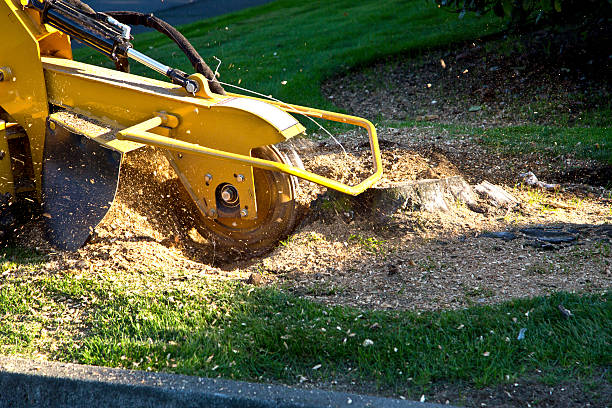 Best Landscape Design and Installation  in Grand Ronde, OR